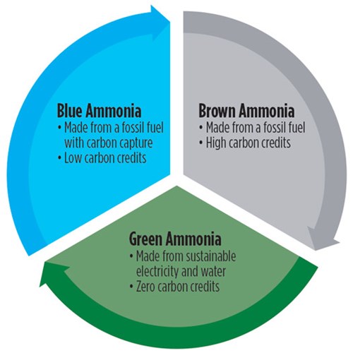 FIG. 1. Color-coded types of ammonia.